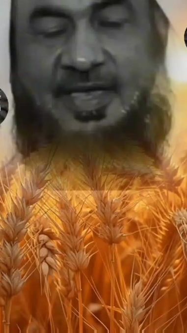 TikTok video thumbnail by salafi.tounsi