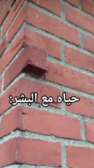 TikTok video thumbnail by _7res0