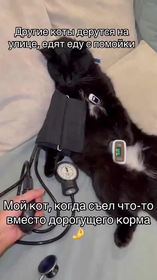 TikTok video thumbnail by zarema9.8