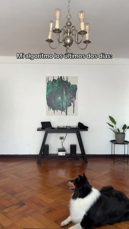 TikTok video thumbnail by absolutelywrong.cl