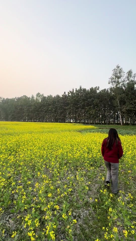 TikTok video thumbnail by bakemonogurung