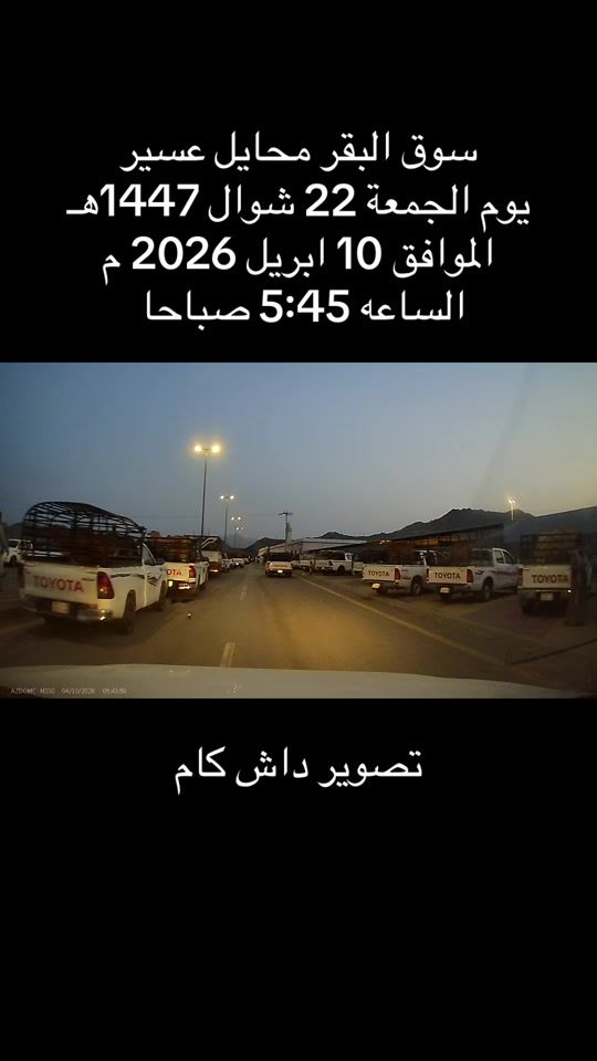 TikTok video thumbnail by cows1983