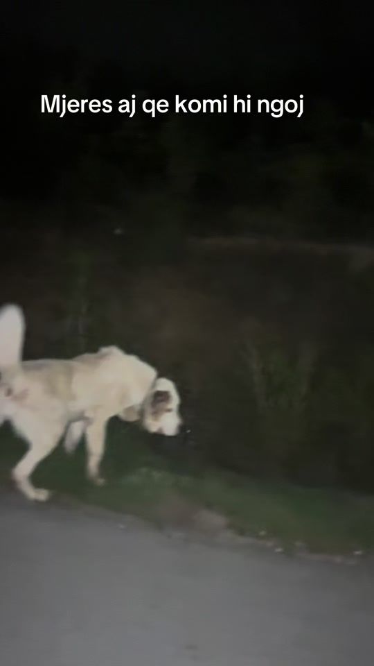 TikTok video thumbnail by gteamazarchamp