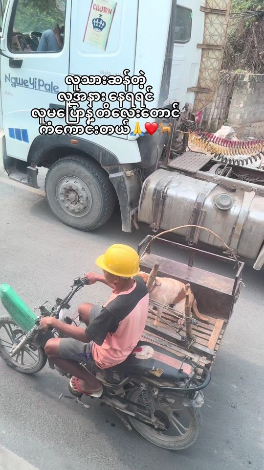 TikTok video thumbnail by eh.htoo664