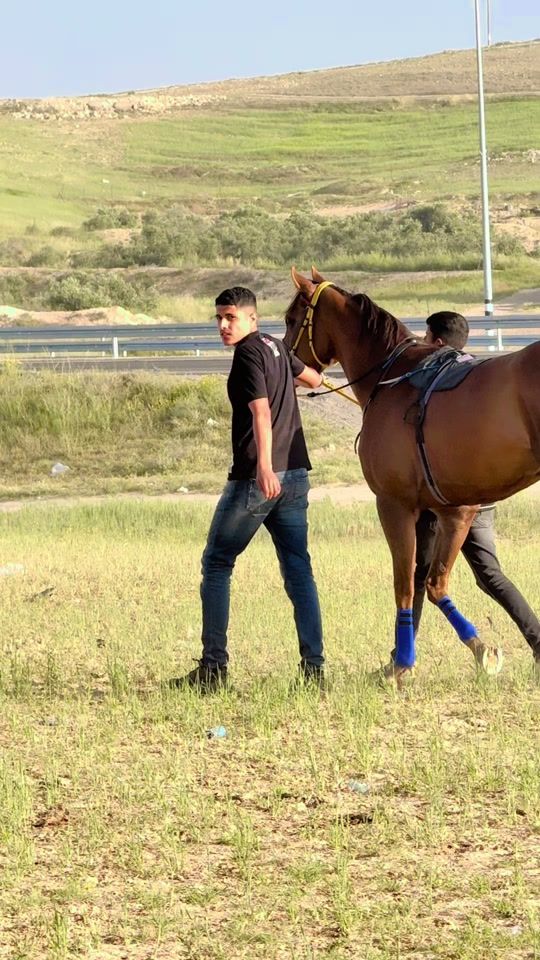 TikTok video thumbnail by alfregat41