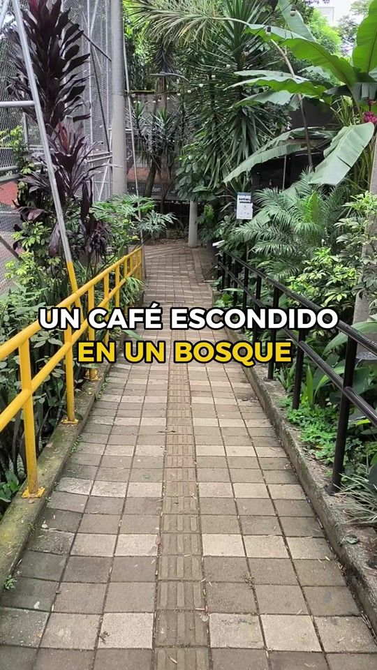 TikTok video thumbnail by visitar.medellin