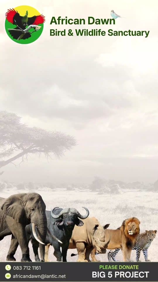 TikTok video thumbnail by wernerheyns_official