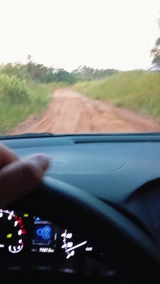 TikTok video thumbnail by rocio.guillun