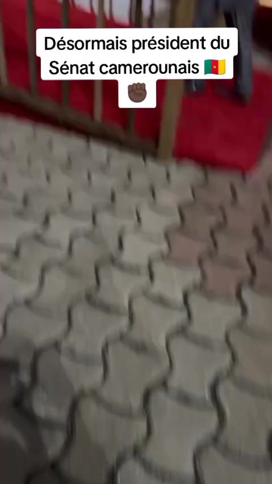 TikTok video thumbnail by altessemhd