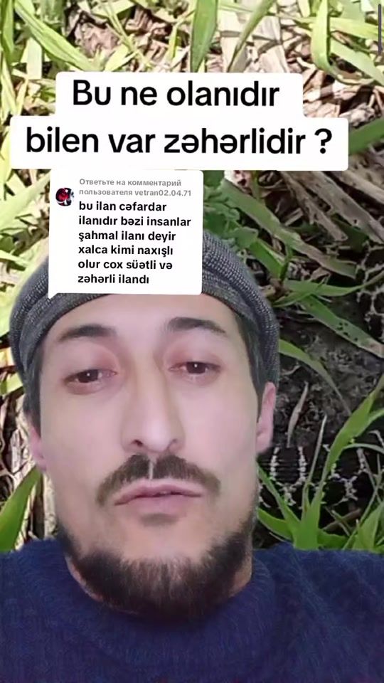 TikTok video thumbnail by nikorazin8