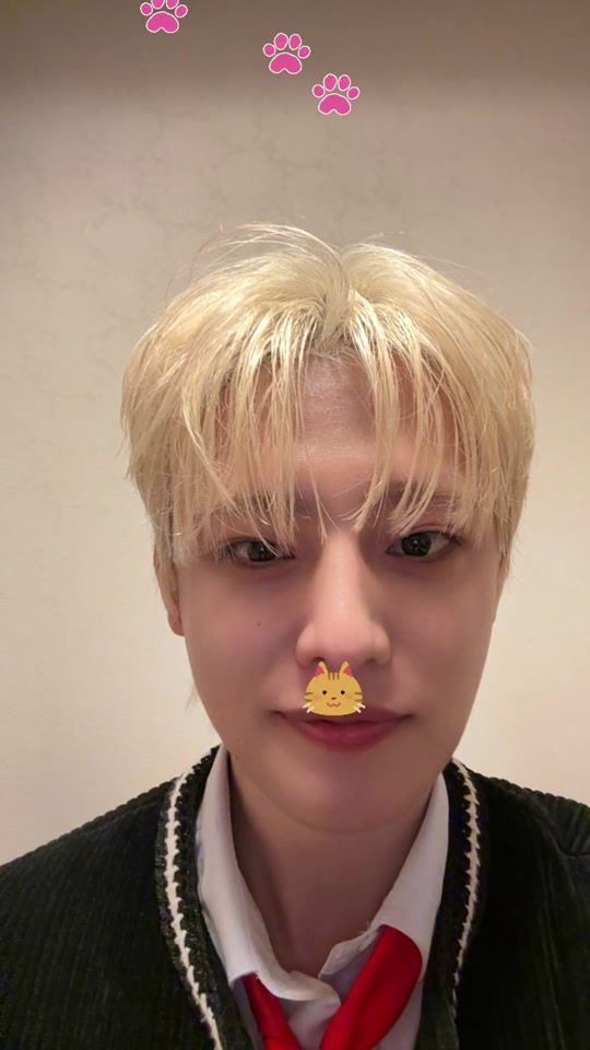 TikTok video thumbnail by bowwow_bao