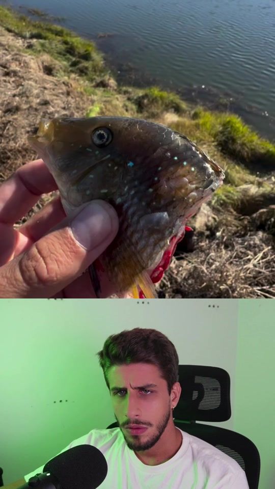 TikTok video thumbnail by yagostephano