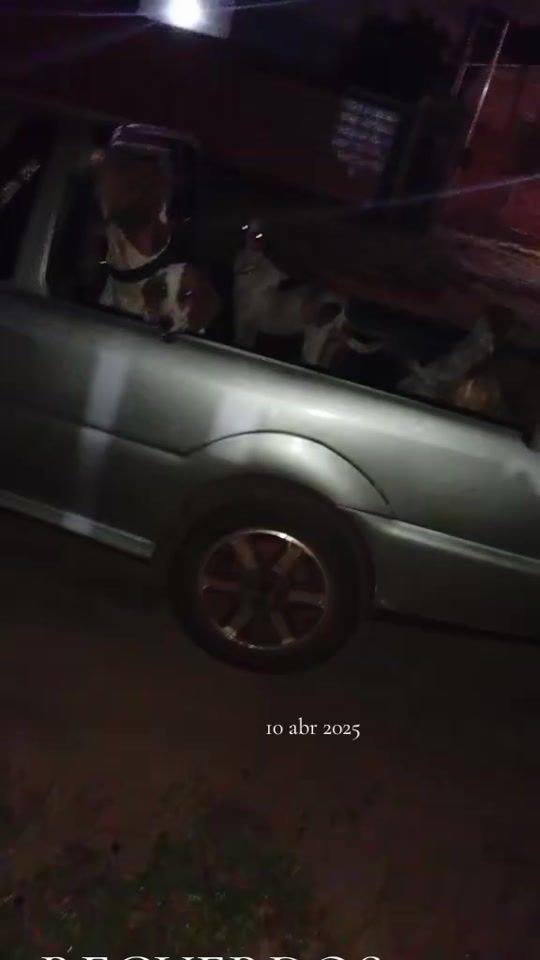 TikTok video thumbnail by marquez1174