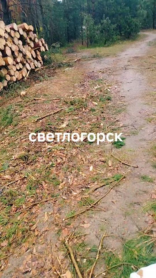 TikTok video thumbnail by vovalora