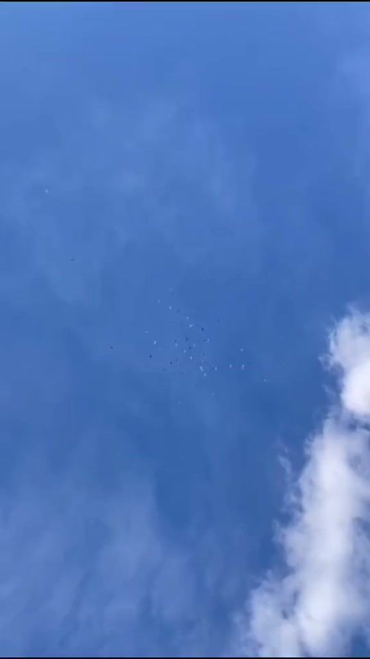 TikTok video thumbnail by tiplerat_e_viktorit