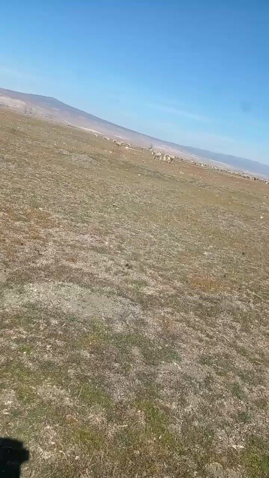 TikTok video thumbnail by ileke.263
