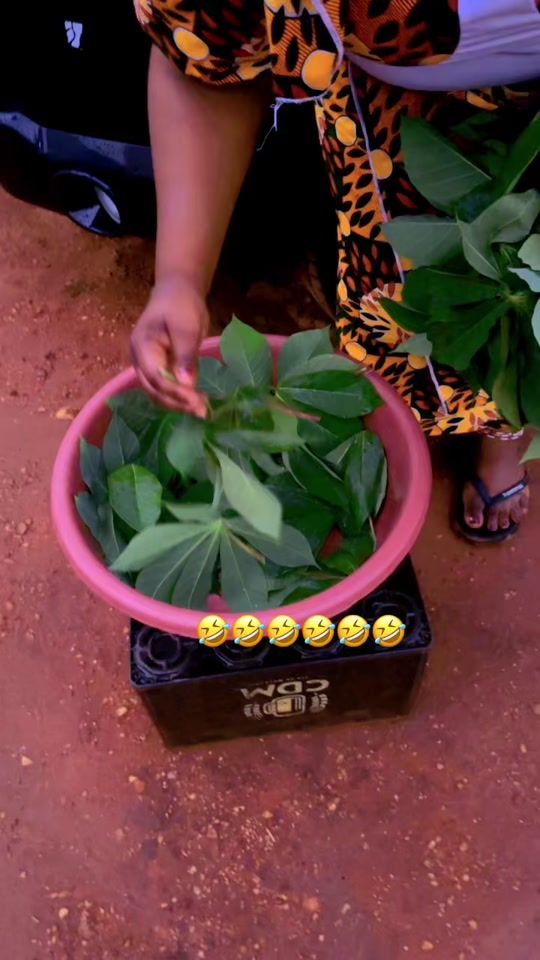 TikTok video thumbnail by abiba.cebola