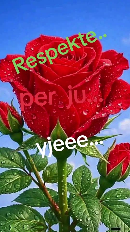 TikTok video thumbnail by user5587997703004