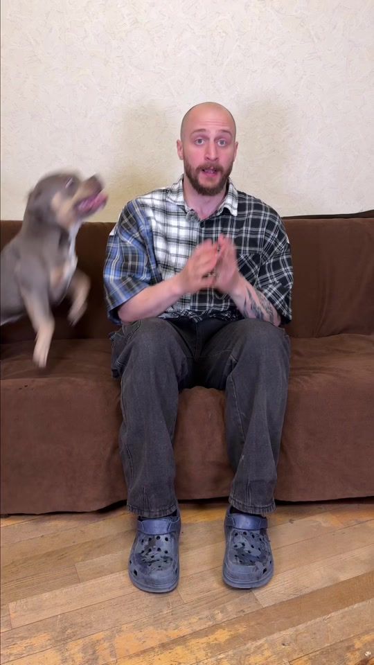 TikTok video thumbnail by david_and_dogs