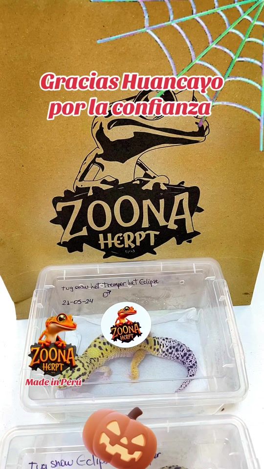 TikTok video thumbnail by zoonaherpt..peru