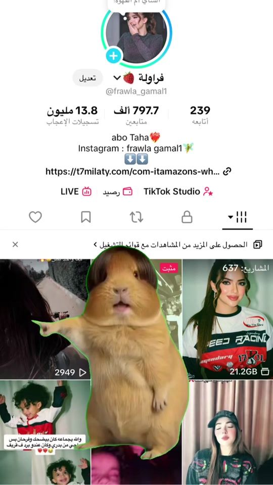TikTok video thumbnail by frawla_gamal1