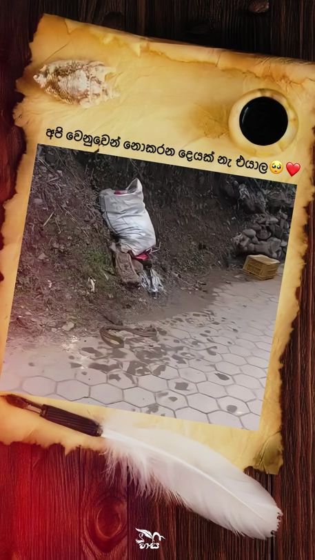 TikTok video thumbnail by hasi.videoclub