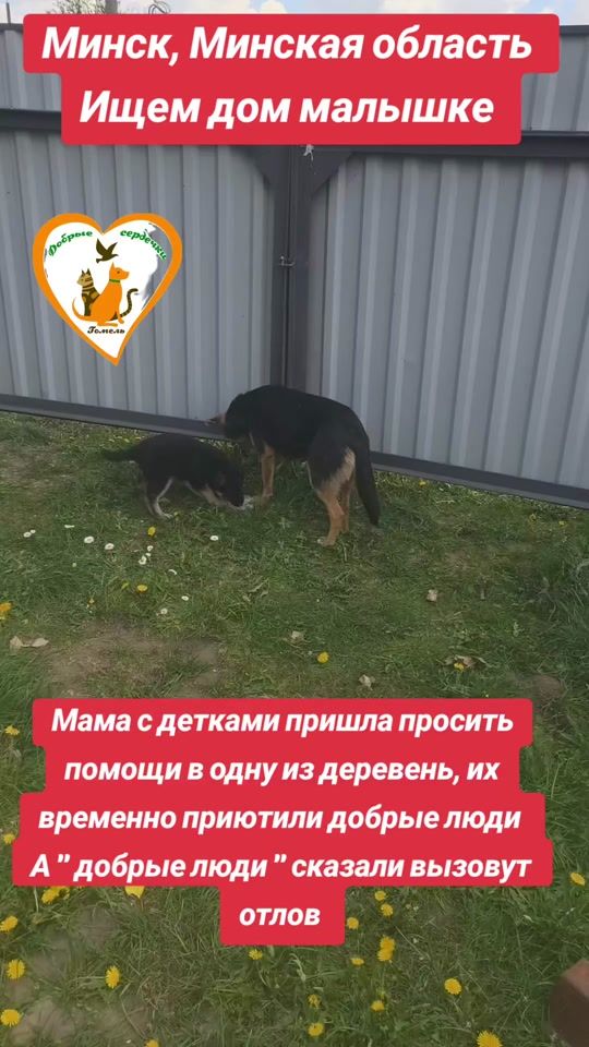 TikTok video thumbnail by user780749013477