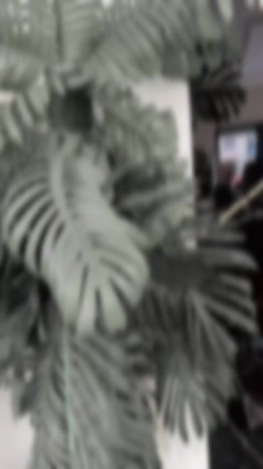 TikTok video thumbnail by tara.byby