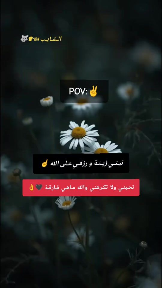 TikTok video thumbnail by ch___dz