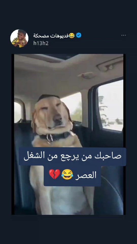 TikTok video thumbnail by h13h2