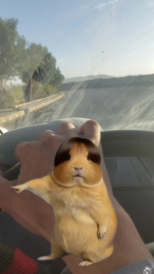 TikTok video thumbnail by a_t_s1999