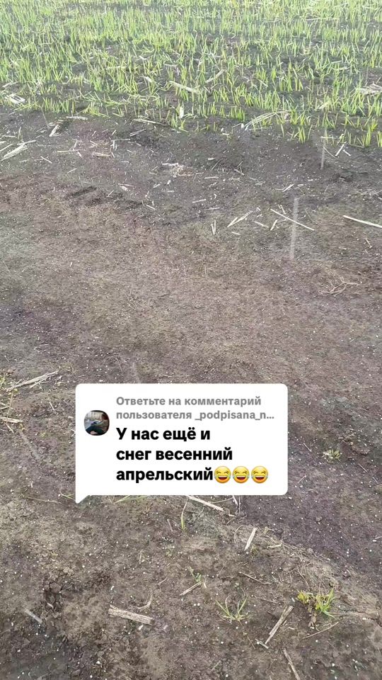 TikTok video thumbnail by alexanderpashkov05