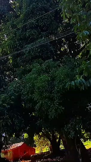 TikTok video thumbnail by fabioyrala