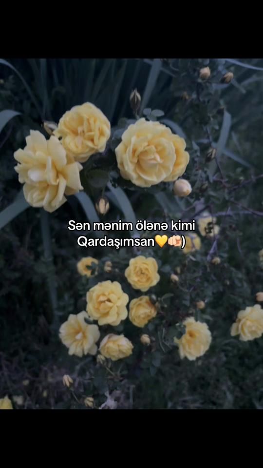 TikTok video thumbnail by editski_777