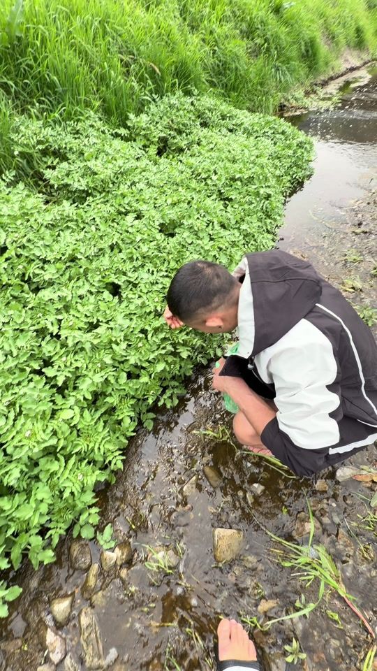 TikTok video thumbnail by jagat.sanwa.limbu