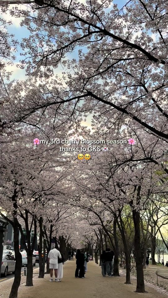 TikTok video thumbnail by graciamadea