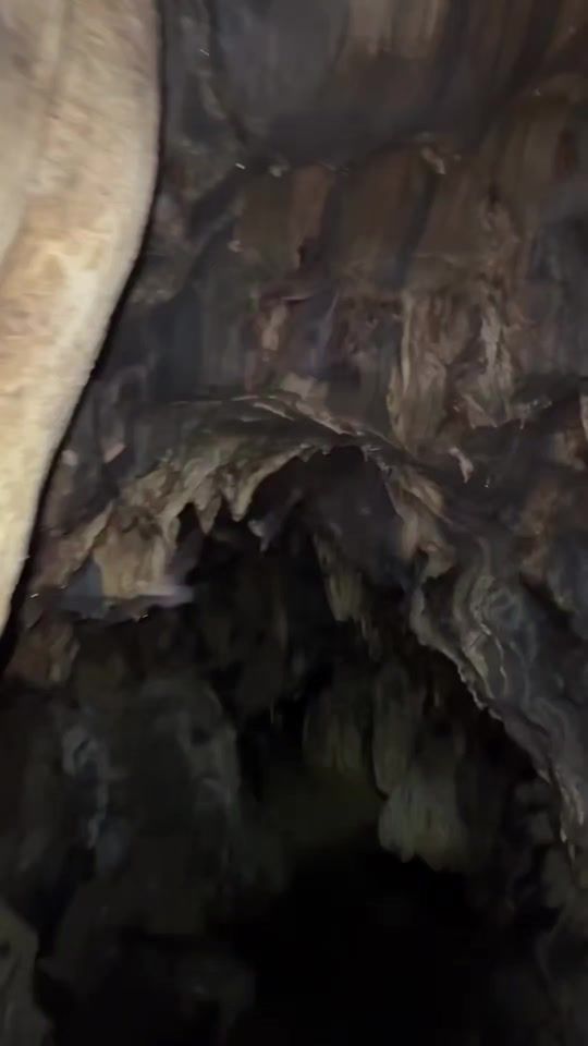 TikTok video thumbnail by gkn.gkn0