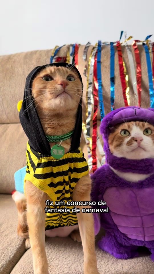 TikTok video thumbnail by pedrinhoepaulinho
