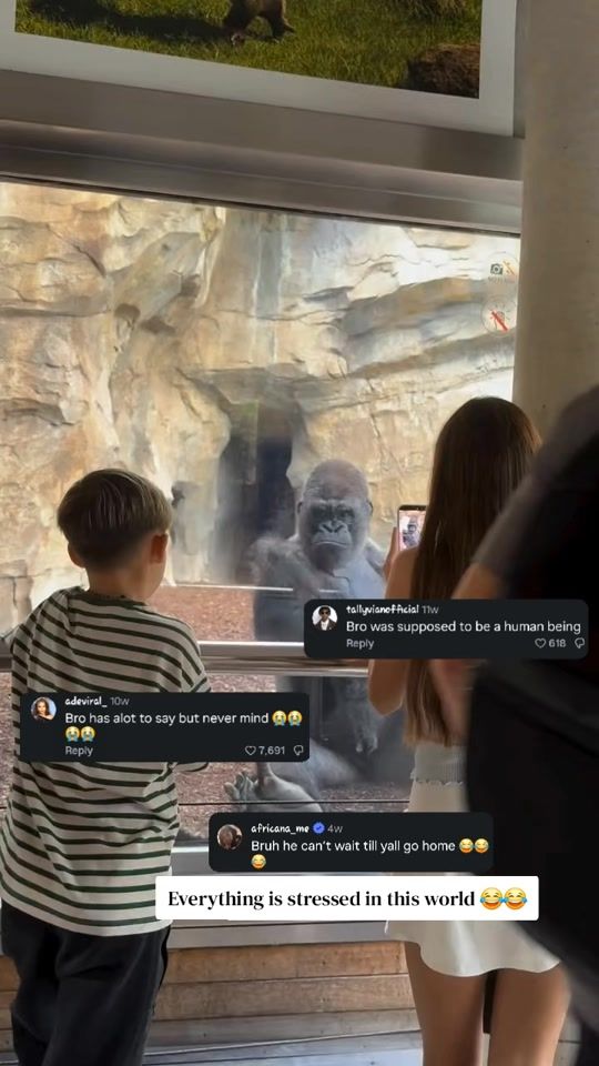 TikTok video thumbnail by shady_elnar
