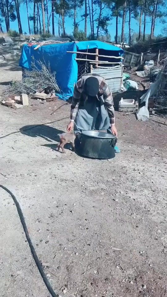 TikTok video thumbnail by eypkrall