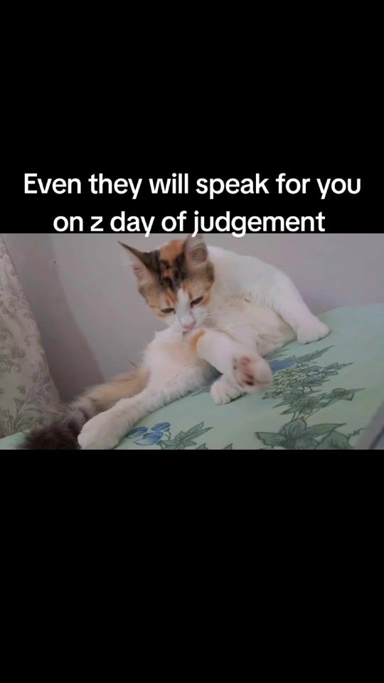 TikTok video thumbnail by salimasalima34