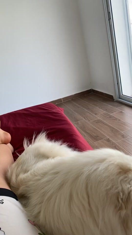 TikTok video thumbnail by nawreeesbdgmail.com