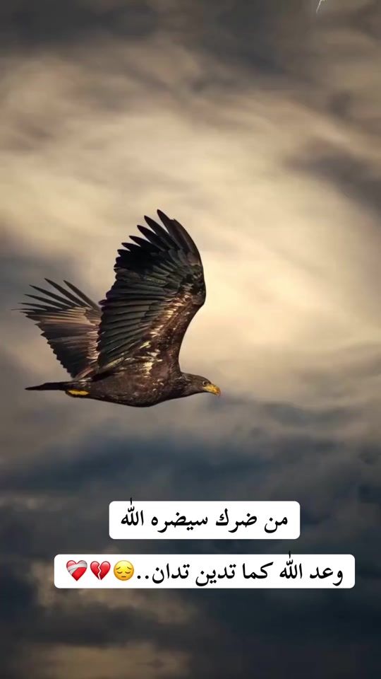 TikTok video thumbnail by hukm06