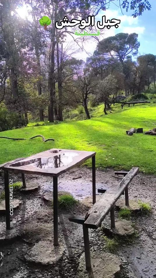 TikTok video thumbnail by ccsp_travel_dz