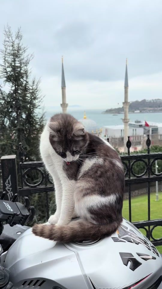 TikTok video thumbnail by __atlas.t