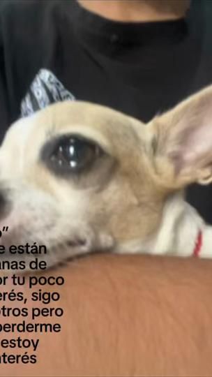 TikTok video thumbnail by mxx_tommy