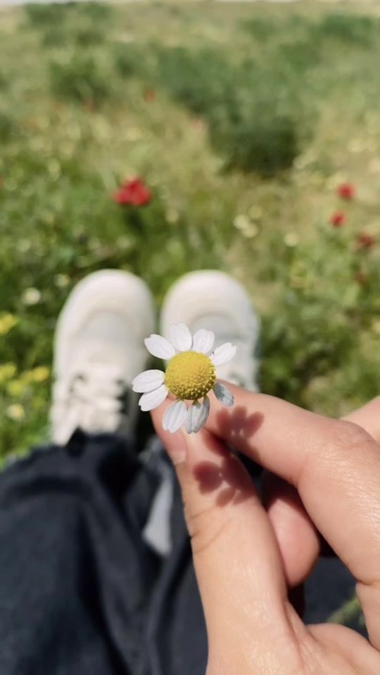 TikTok video thumbnail by msdonya0