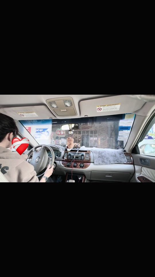 TikTok video thumbnail by thirteenjulyy