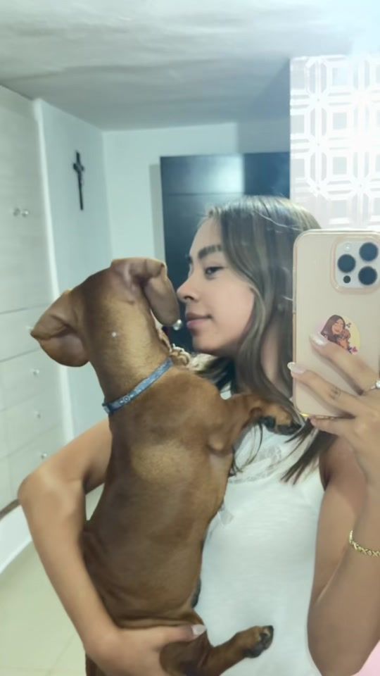 TikTok video thumbnail by paco_salchi