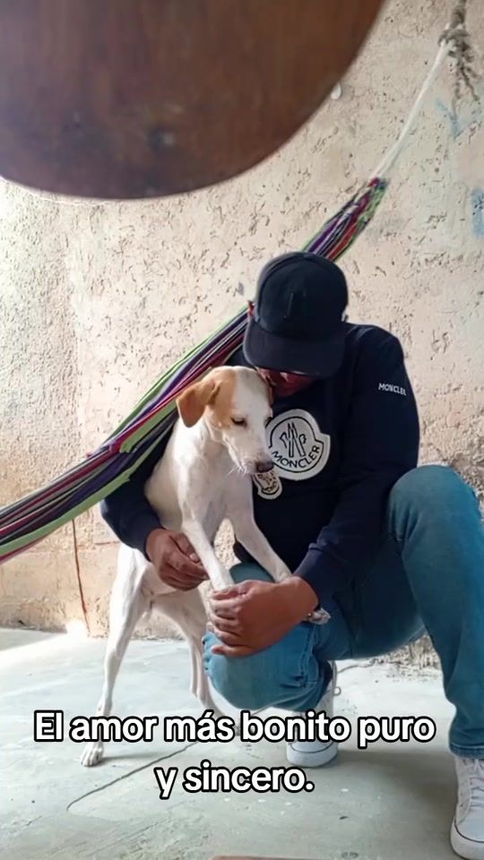 TikTok video thumbnail by el.policahumanist